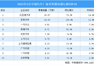 2025年2月中國汽車廠商零售銷量排行榜TOP10（附榜單）