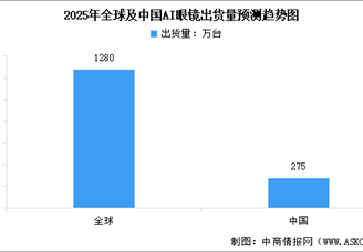 2025年中国AI眼镜行业市场前景预测研究报告（简版）
