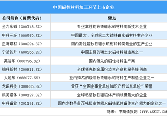 2025中國(guó)磁性材料行業(yè)上市企業(yè)全方位對(duì)比分析（企業(yè)分布、經(jīng)營(yíng)情況、業(yè)務(wù)布局等）
