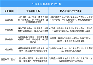 2025年中國有機硅重點企業(yè)業(yè)務布局分析（圖）