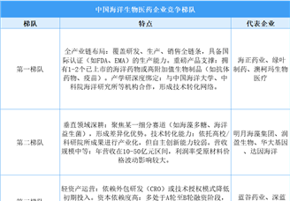 2025年中國(guó)海洋生物醫(yī)藥企業(yè)競(jìng)爭(zhēng)梯隊(duì)分析（圖）