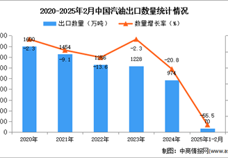 2025年1-2月中国汽油出口数据统计分析：出口量同比下降55.5%
