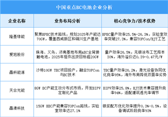 2025年中國BC電池重點(diǎn)企業(yè)業(yè)務(wù)布局預(yù)測分析（圖）