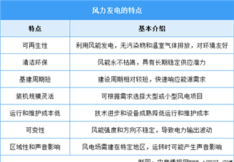 2025年中國風(fēng)力發(fā)電行業(yè)市場前景預(yù)測研究報告（簡版）