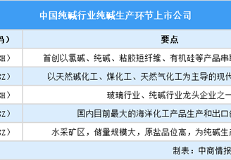 2025中國純堿行業(yè)上市公司全方位對比分析（企業(yè)分布、經(jīng)營情況、業(yè)務(wù)布局等）