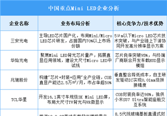 2025年中國(guó)Mini LED重點(diǎn)企業(yè)業(yè)務(wù)布局預(yù)測(cè)分析（圖）