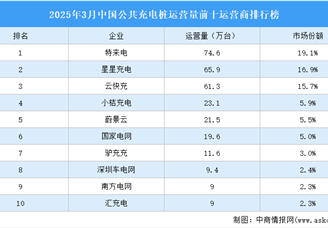 2025年3月中國(guó)公共充電樁運(yùn)營(yíng)量前十運(yùn)營(yíng)商排行榜（附榜單）