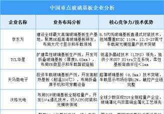 2025年中國玻璃基板重點(diǎn)企業(yè)業(yè)務(wù)布局預(yù)測分析（圖）