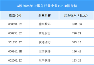 A股2024年IT服務(wù)行業(yè)企業(yè)TOP10排行榜（圖）