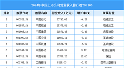 2024年中國(guó)上市公司營(yíng)業(yè)收入排行榜TOP500（附榜單）