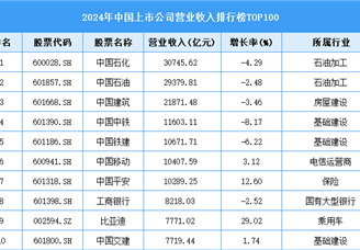 2024年中国上市公司营业收入排行榜TOP500（附榜单）