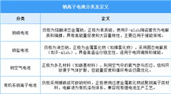 2025年中國(guó)鈉離子電池行業(yè)市場(chǎng)前景預(yù)測(cè)研究報(bào)告（簡(jiǎn)版）