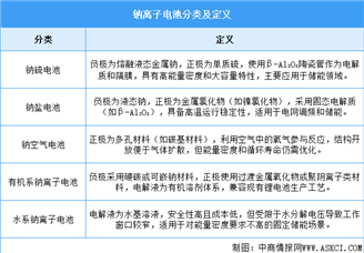2025年中國(guó)鈉離子電池行業(yè)市場(chǎng)前景預(yù)測(cè)研究報(bào)告（簡(jiǎn)版）