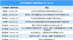 2025年中國光伏輔材行業(yè)上市公司全方位對比分析（企業(yè)分布、經(jīng)營情況、業(yè)務(wù)布局等）
