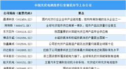 2025年中國光伏電池組件行業(yè)上市公司全方位對比分析（企業(yè)分布、經(jīng)營情況、業(yè)務(wù)布局等）