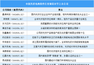 2025年中國光伏電池組件行業(yè)上市公司全方位對(duì)比分析（企業(yè)分布、經(jīng)營情況、業(yè)務(wù)布局等）