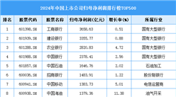 2024年中國(guó)上市公司歸母凈利潤(rùn)排行榜TOP500（附榜單）