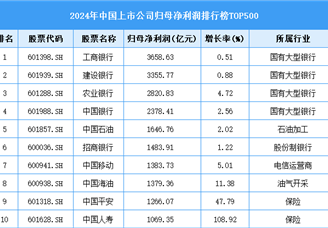 2024年中國上市公司歸母凈利潤排行榜TOP500（附榜單）