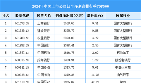 2024年中国上市公司归母净利润排行榜TOP500（附榜单）