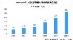 2025年中國光伏銀粉產業(yè)鏈圖譜及投資布局分析（附產業(yè)鏈全景圖）