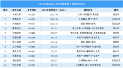 2024年中國(guó)河北省上市公司營(yíng)業(yè)收入排行榜（附榜單）