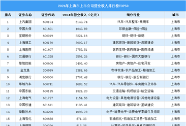 2024年中國上海市上市公司營業(yè)收入排行榜（附榜單）