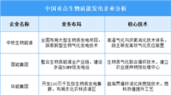 2025年中國(guó)生物質(zhì)能發(fā)電重點(diǎn)企業(yè)業(yè)務(wù)布局預(yù)測(cè)分析（圖）