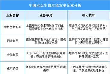 2025年中國生物質(zhì)能發(fā)電重點企業(yè)業(yè)務(wù)布局預(yù)測分析（圖）