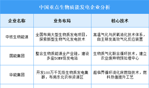 2025年中国生物质能发电重点企业业务布局预测分析（图）