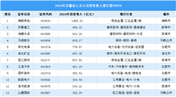 2024年中国安徽省上市公司营业收入排行榜（附榜单）