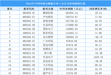 2024年中国印制电路板行业上市公司净利润排行榜（附榜单）
