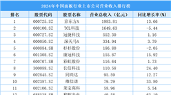 2024年中國(guó)面板行業(yè)上市公司營(yíng)業(yè)收入排行榜（附榜單）