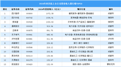 2024年中国四川省上市公司营业收入排行榜（附榜单）