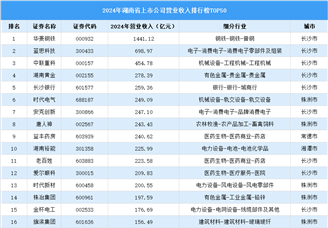 2024年中國(guó)湖南省上市公司營(yíng)業(yè)收入排行榜（附榜單）
