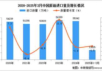 2025年1-3月中國原油進口數(shù)據(jù)統(tǒng)計分析：進口量小幅下降