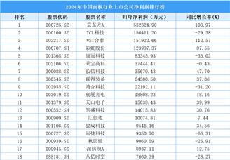 2024年中國(guó)面板行業(yè)上市公司凈利潤(rùn)排行榜（附榜單）