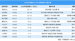 2024年中國青海省上市公司營業(yè)收入排行榜（附榜單）