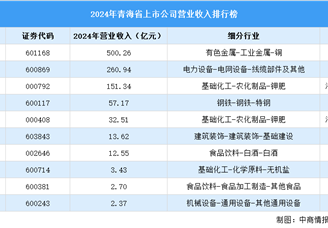 2024年中國(guó)青海省上市公司營(yíng)業(yè)收入排行榜（附榜單）