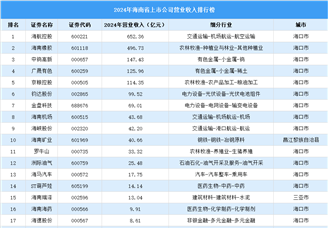 2024年中国海南省上市公司营业收入排行榜（附榜单）