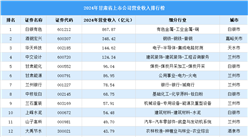 2024年中国甘肃省上市公司营业收入排行榜（附榜单）