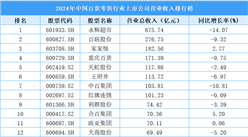 2024年中國(guó)百貨零售行業(yè)上市公司營(yíng)業(yè)收入排行榜（附榜單）