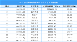 2024年中国锂电池行业上市公司净利润排行榜（附榜单）