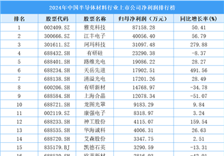 2024年中國半導(dǎo)體材料行業(yè)上市公司凈利潤排行榜（附榜單）