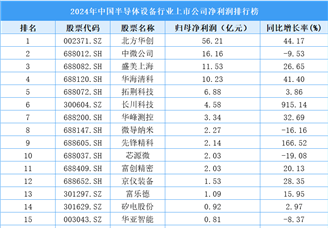 2024年中國半導(dǎo)體設(shè)備行業(yè)上市公司凈利潤排行榜（附榜單）
