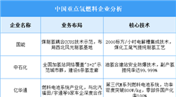 2025年中国氢燃料重点企业业务布局预测分析（图）
