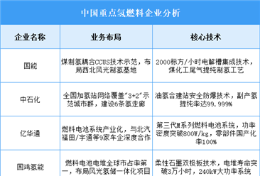 2025年中国氢燃料重点企业业务布局预测分析（图）