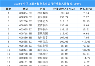 2024年中國(guó)IT服務(wù)行業(yè)上市公司營(yíng)業(yè)收入排行榜TOP100（附榜單）