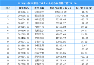 2024年中國(guó)IT服務(wù)行業(yè)上市公司凈利潤(rùn)排行榜TOP100（附榜單）