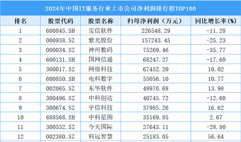 2024年中国IT服务行业上市公司净利润排行榜TOP100（附榜单）