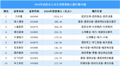 2024年武漢市上市公司營業(yè)收入排行榜（附榜單）